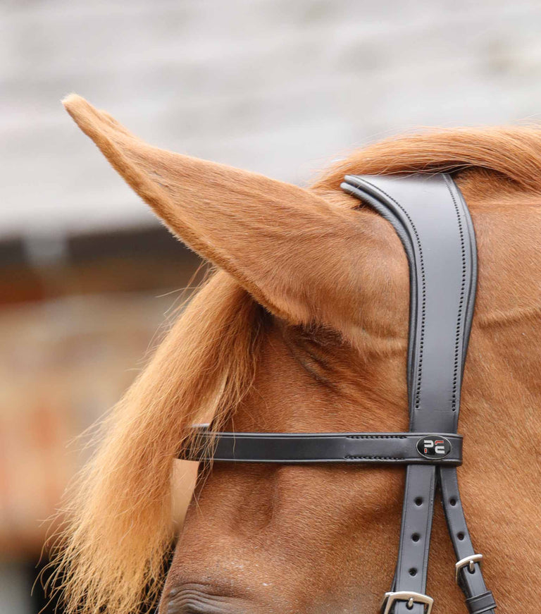 Primo Hunter Bridle