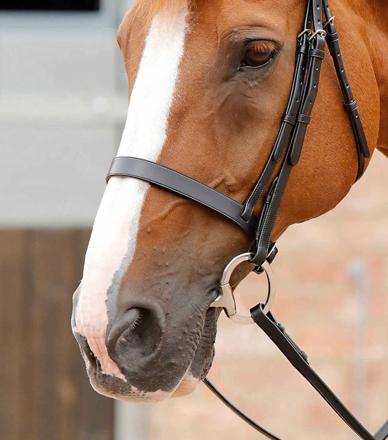 Primo Hunter Cavesson Noseband