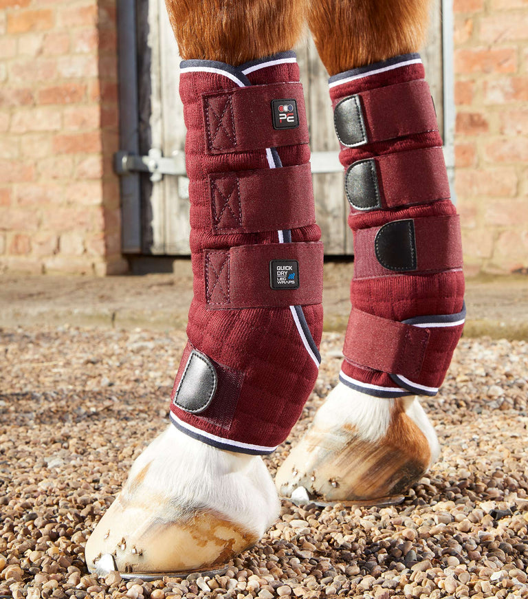 Quick Dry Horse Leg Wraps – Premier Equine Int. Ltd.