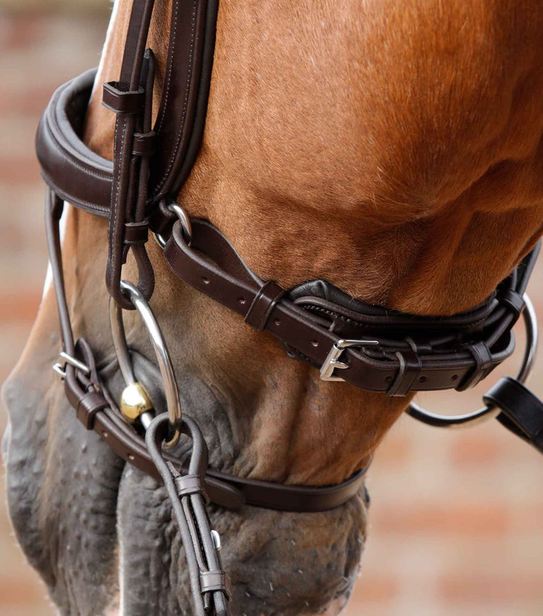 Savuto Anatomic Bridle with Crank Noseband & Flash