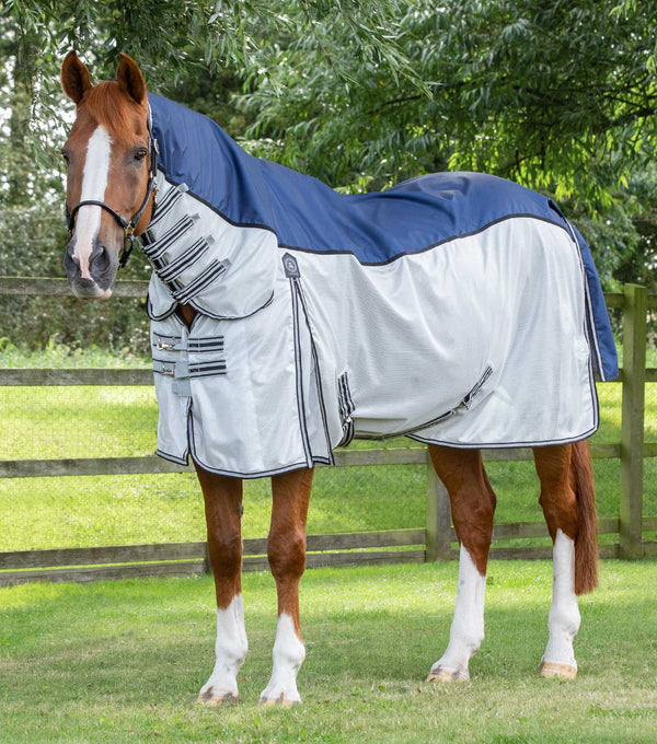 Fly Rug Use Horse Fly Rugs — Durable and Effective Fly Protection