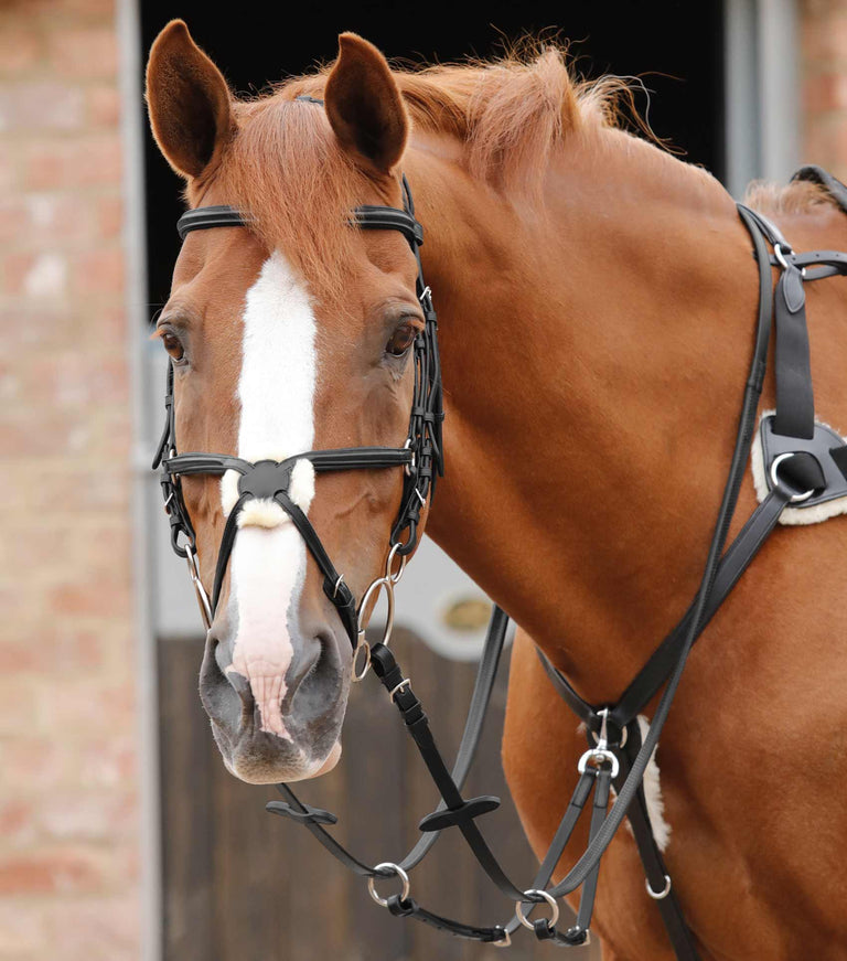 Stefano Rubber Reins