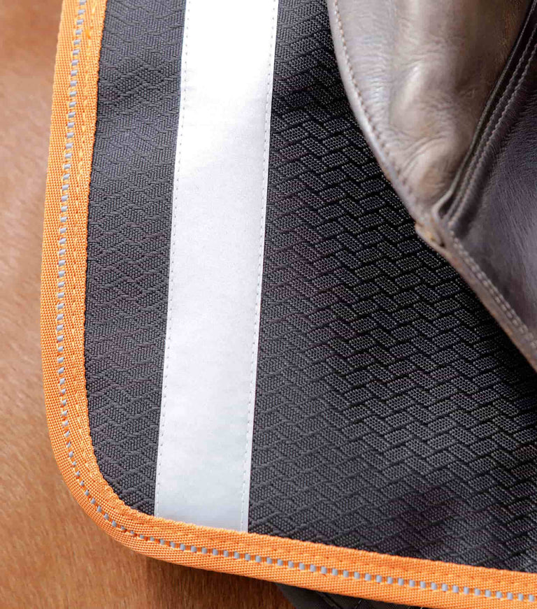 Stratus Horse Exercise Sheet