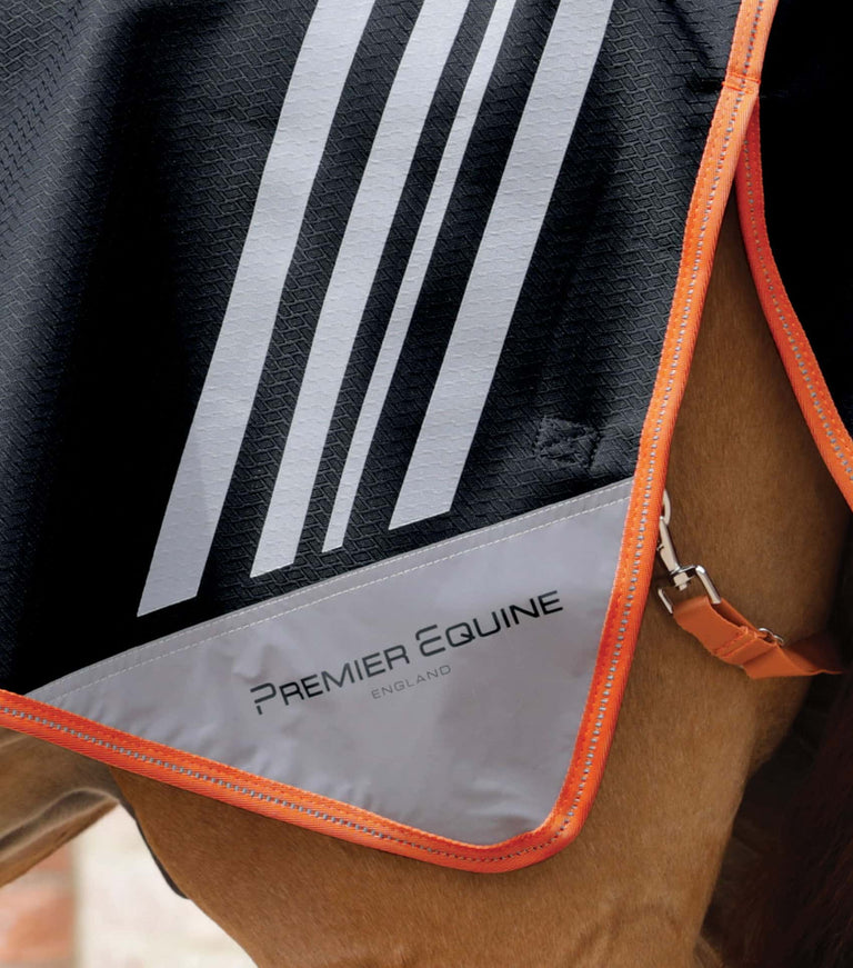 Stratus Horse Exercise Sheet