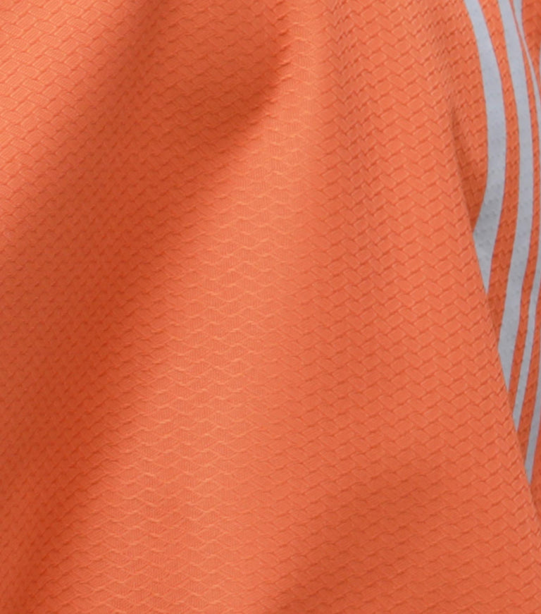 Stratus Horse Exercise Sheet