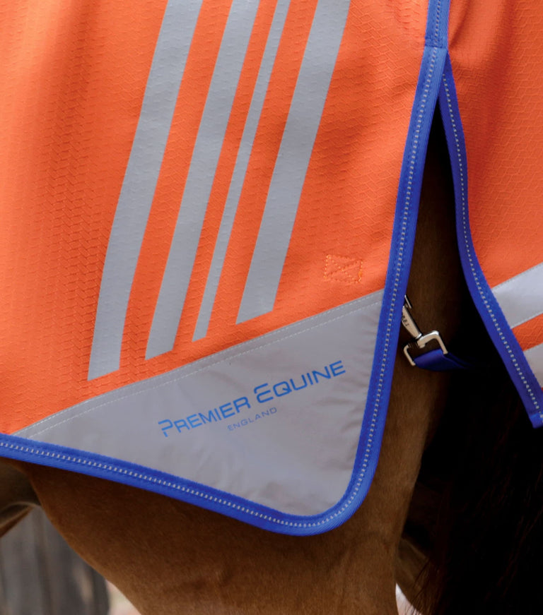 Stratus Horse Exercise Sheet