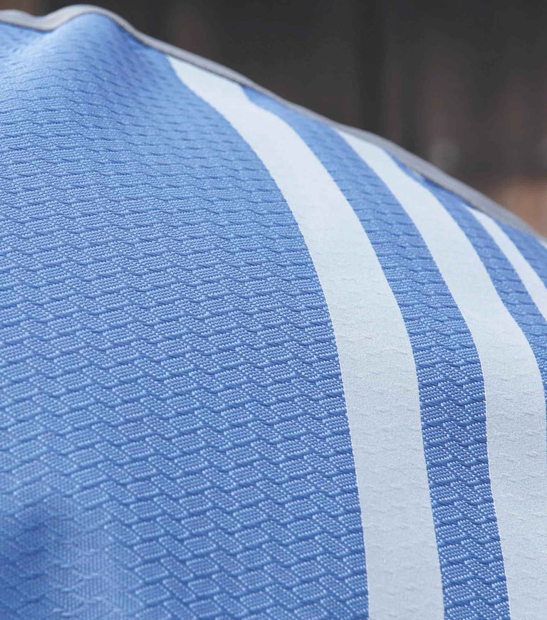 Stratus Horse Exercise Sheet