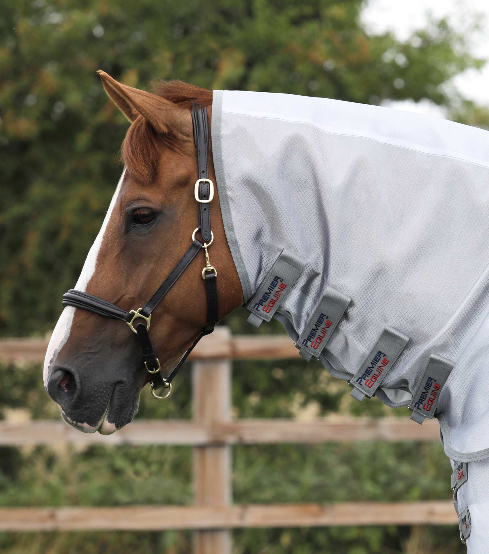 Super Lite Fly Rug with Surcingles Premier Equine Int. Ltd.