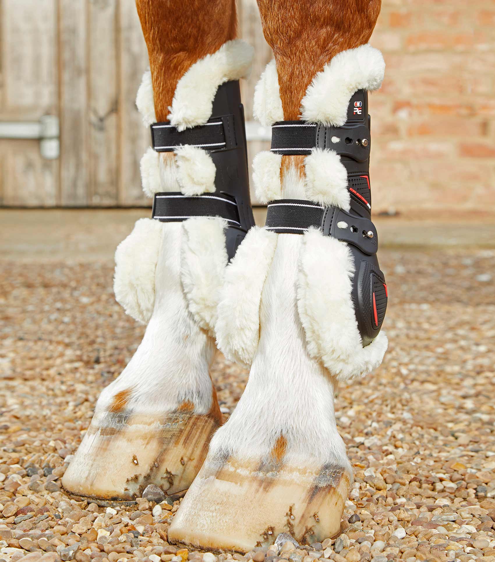 Techno Wool Tendon Boots – Premier Equine Int. Ltd.