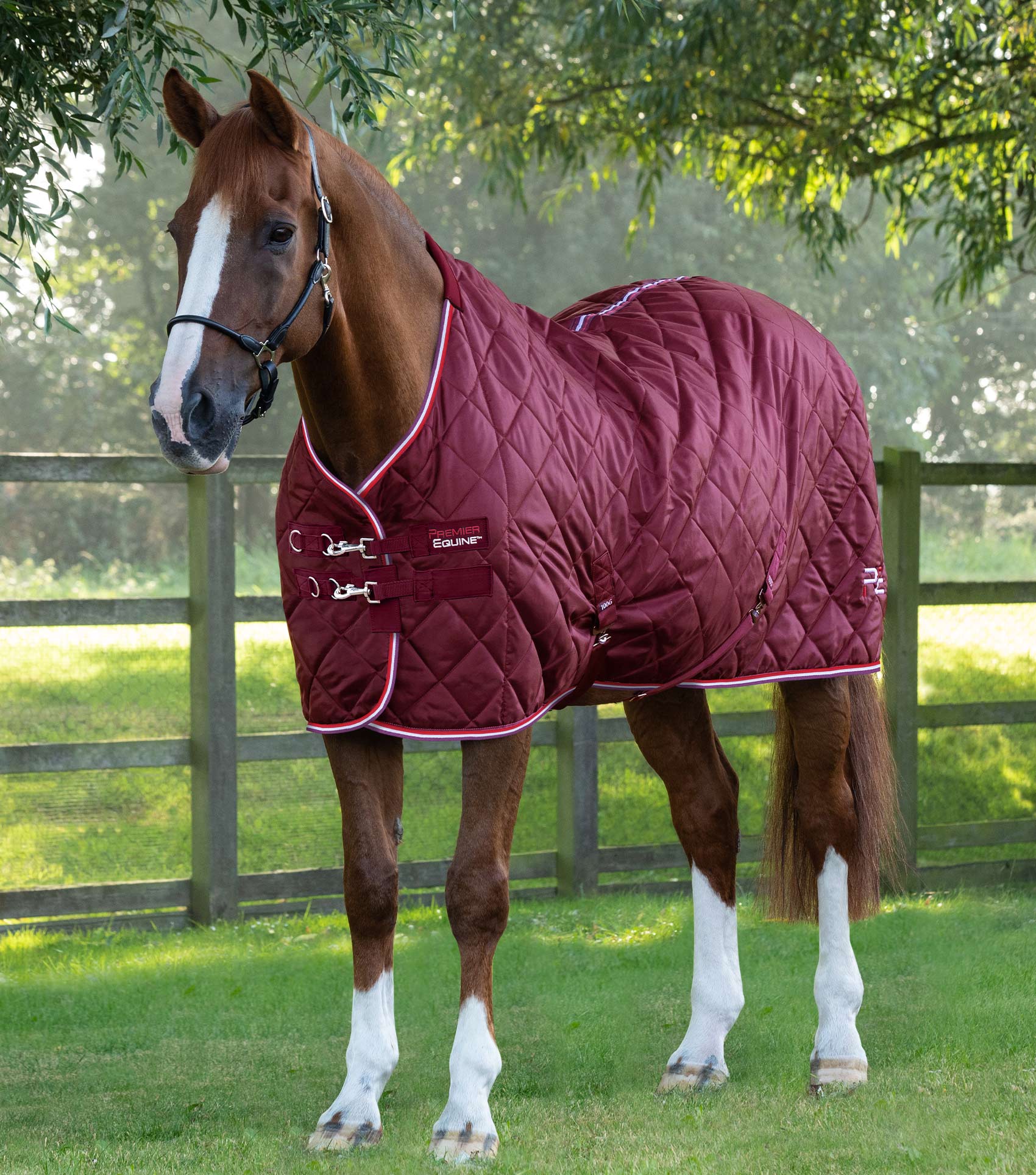 Burgundy 5 0
